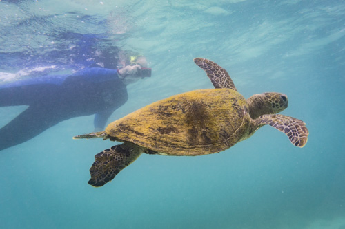 karijini ningaloo photo tour example 24